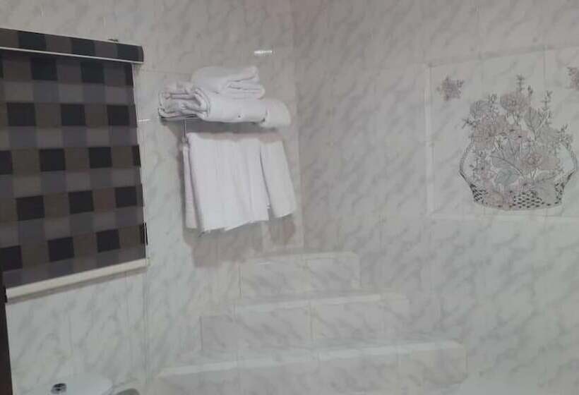 آپارتمان سوپریور 1 خوابه, Mesha Stele Hotel Apartments