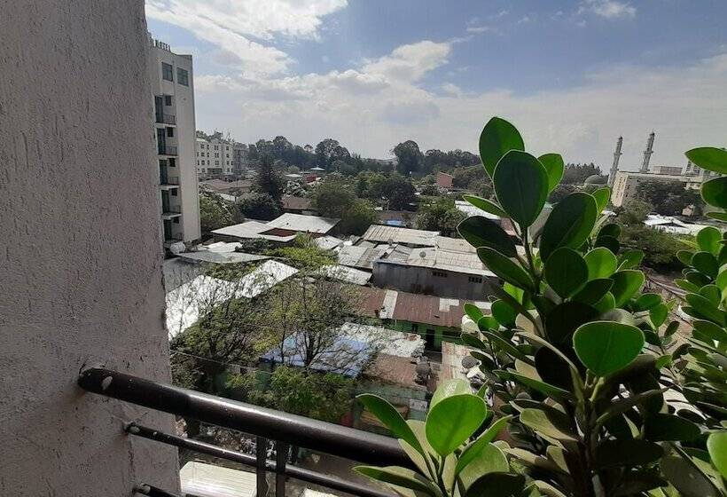 اتاق لوکس یک تخته, Teferi Mekonnen