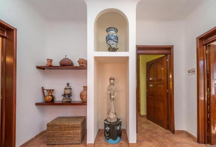 آپارتمان 1 خوابه با بالکن, Casa Gatos