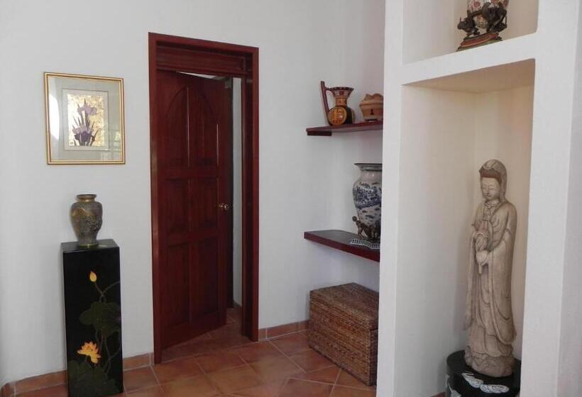 آپارتمان لوکس 1 خوابه, Casa Gatos