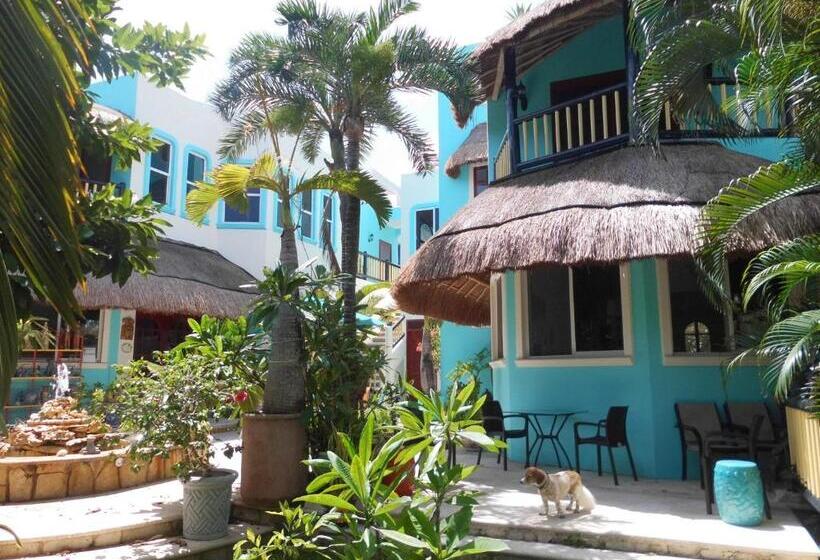 آپارتمان 1 خوابه با بالکن, Casa Gatos