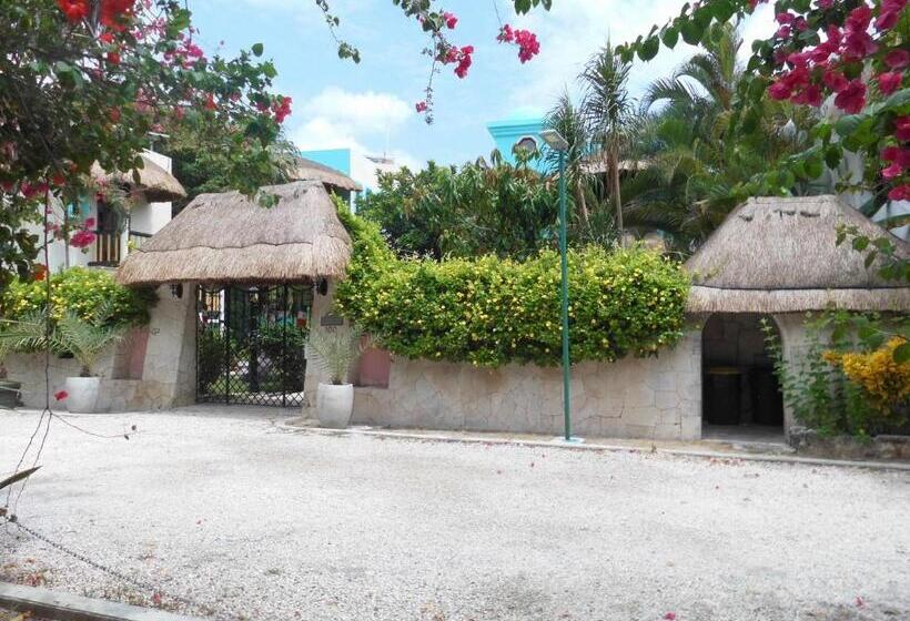 آپارتمان 1 خوابه, Casa Gatos