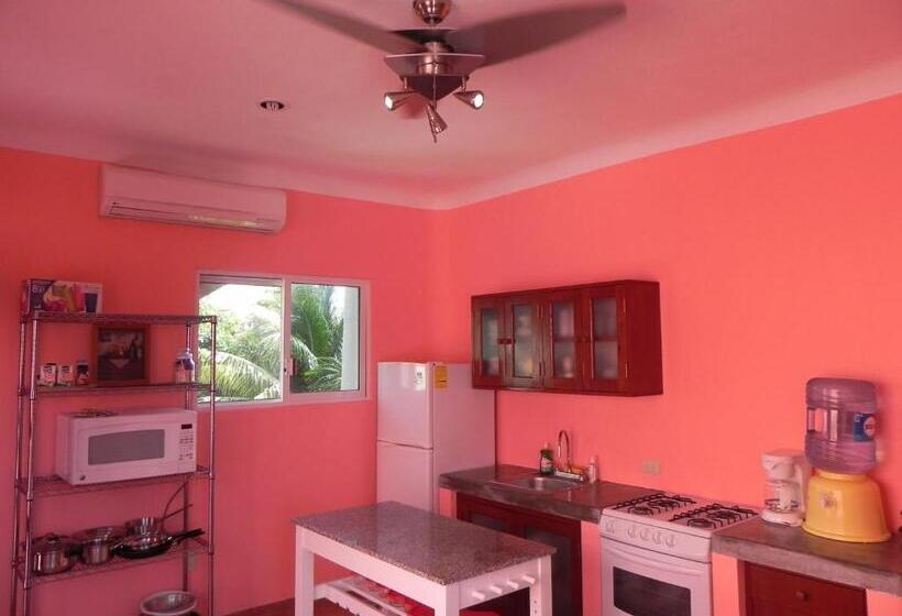 آپارتمان 1 خوابه با بالکن, Casa Gatos