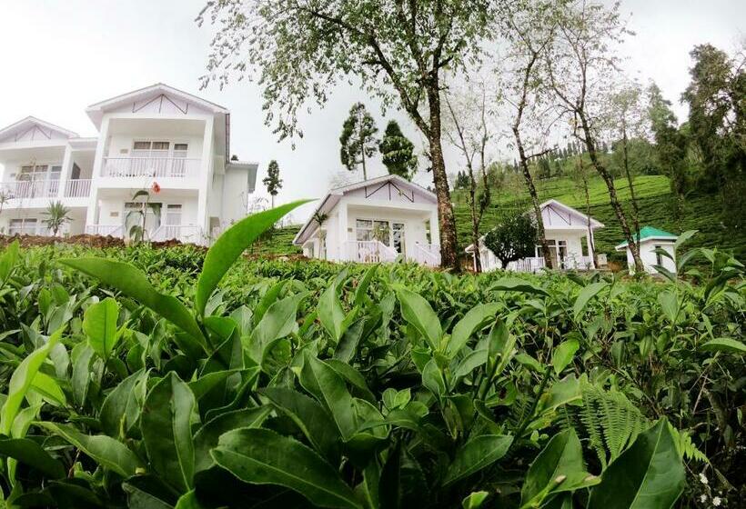 خانه 1 خوابه, The Temi Bungalow South Sikkim