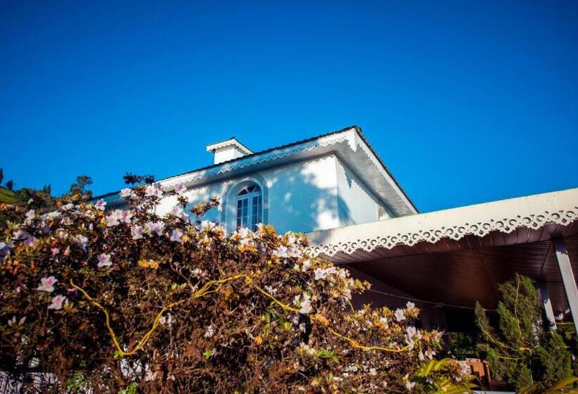 بانگلوی لوکس, The Temi Bungalow South Sikkim