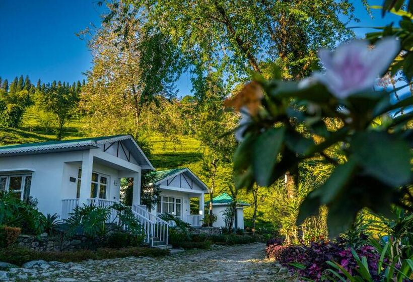 خانه 1 خوابه, The Temi Bungalow South Sikkim