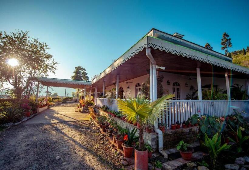بانگلوی لوکس, The Temi Bungalow South Sikkim