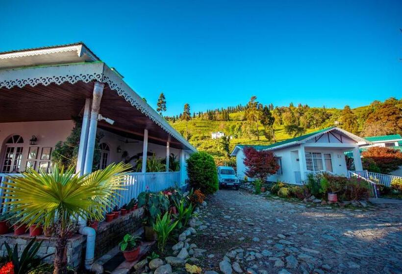 بانگلوی لوکس, The Temi Bungalow South Sikkim