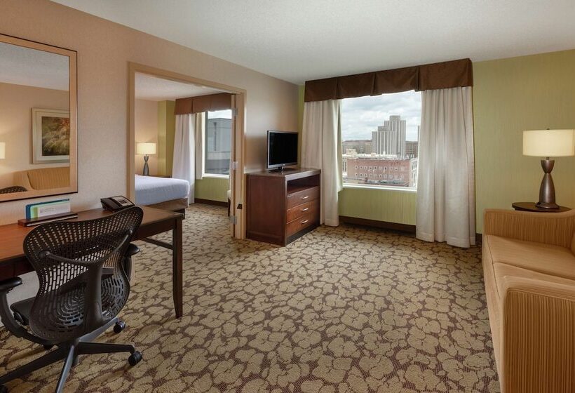 سوییت, Hilton Garden Inn Pittsburgh University Place
