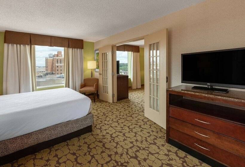 سوییت, Hilton Garden Inn Pittsburgh University Place