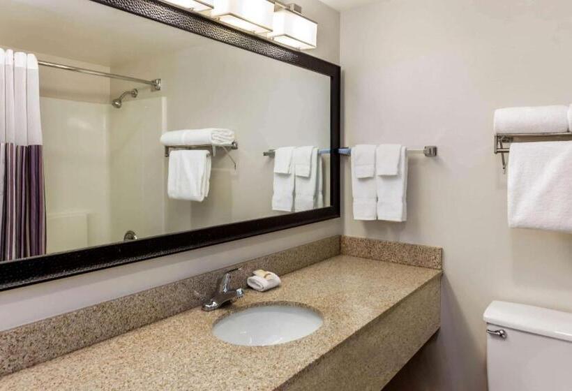 디럭스 스위트 킹 침대, La Quinta By Wyndham Milwaukee Bayshore Area