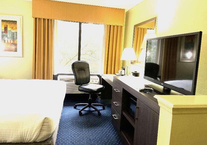 장애인을 위한 킹사이즈 침대 스탠다드 룸, Park Inn By Radisson Albany