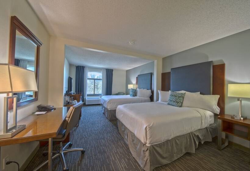 带2个双人床的标准工作室, Wingate By Wyndham And Williamson Conference Center