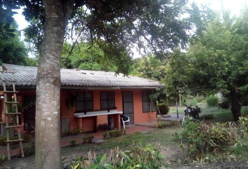 Standard Tent, Hospedaje Eden