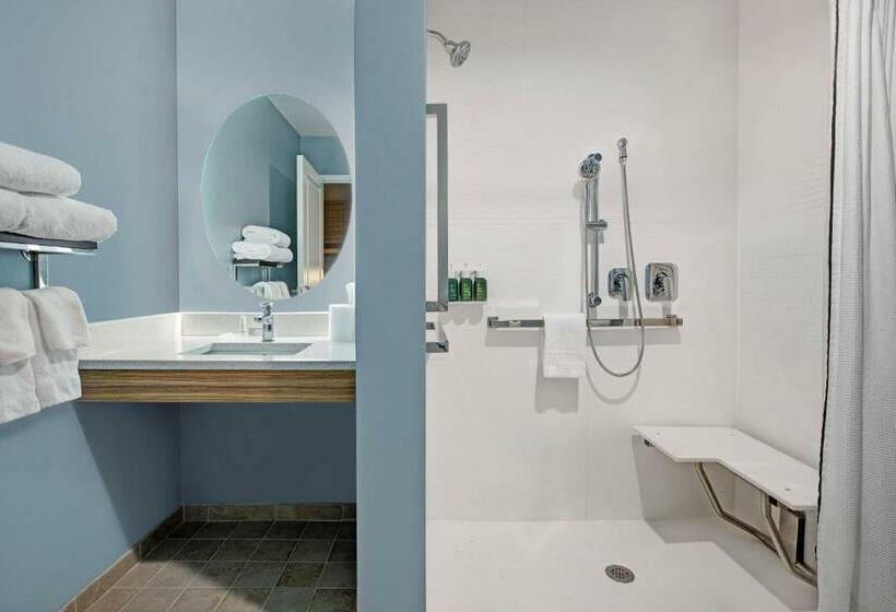 Студио Стандарт Кровать Кинг, Towneplace Suites By Marriott Potomac Mills Woodbridge