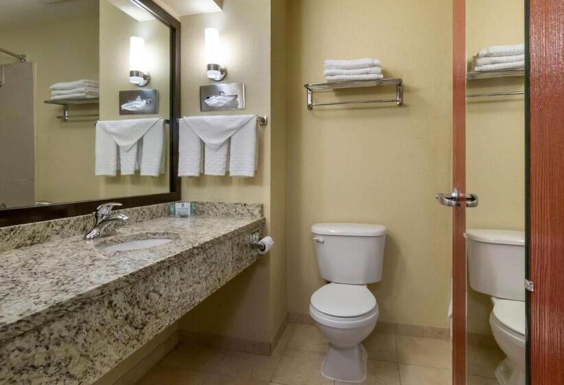 اتاق استاندارد با تخت بزرگ, Best Western Governors Inn And Suites