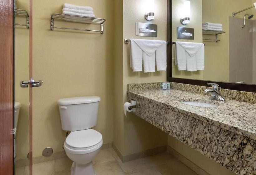 سوئیت با تخت بزرگ, Best Western Governors Inn And Suites