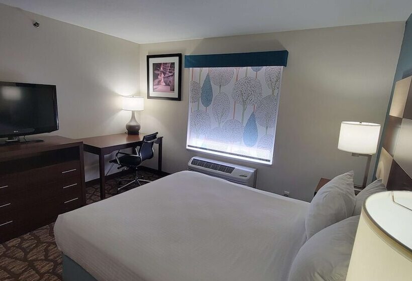 Suíte com Hidromassagem, Best Western Joliet Inn & Suites