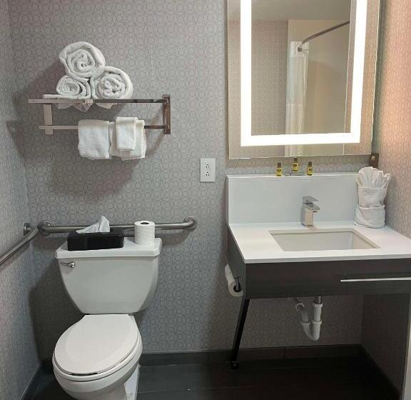 Engelliler için Büyük Çift Kişilik Yataklı Standart Oda, Best Western Downtown Plus Music Row