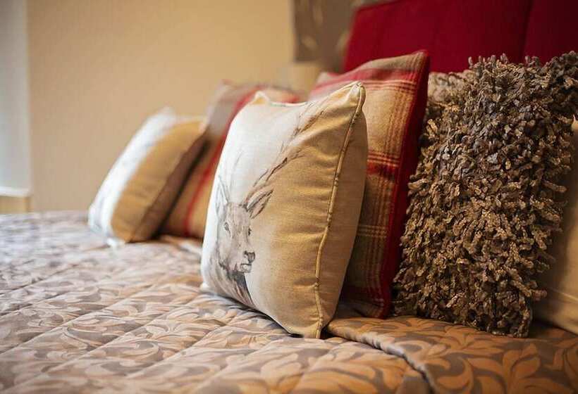 Номер Стандарт, Fir Trees Guest House