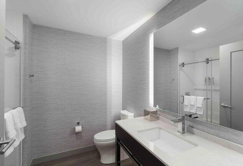 اتاق استاندارد با تخت بزرگ برای معلولان, Holiday Inn Express   Boston Logan Airport   Revere, An Ihg