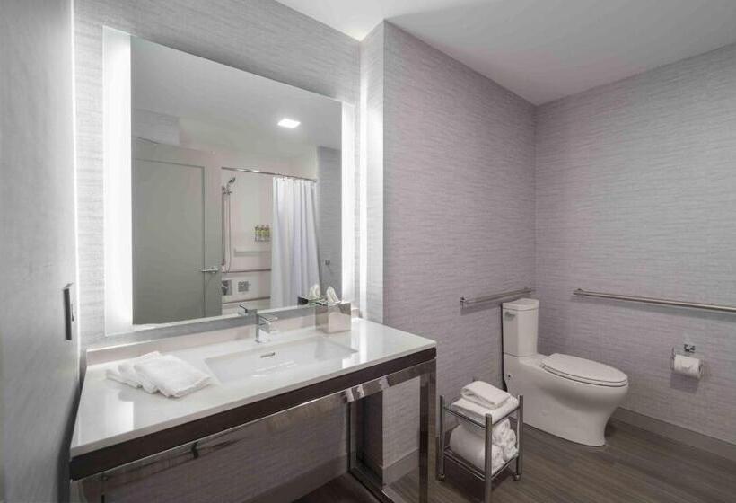장애인을 위한 킹사이즈 침대 스탠다드 룸, Holiday Inn Express   Boston Logan Airport   Revere, An Ihg