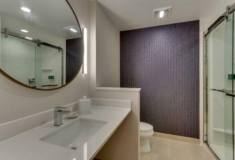스탠다드 룸 킹사이즈 침대, Fairfield Inn & Suites Warsaw