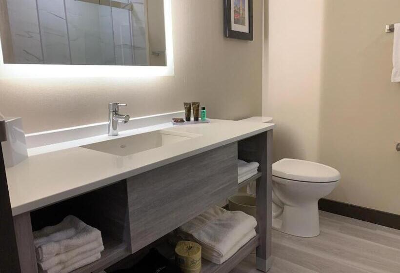Стандартный Номер Кровать Кинг, Wingate By Wyndham Kanata West Ottawa