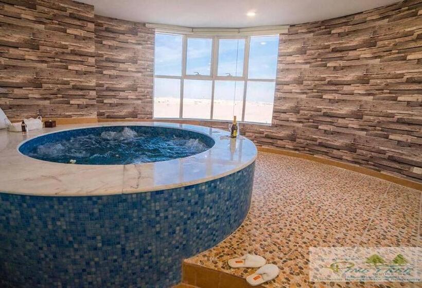 Люкс Повышенной Комфортности, Pinetree Suites Hail