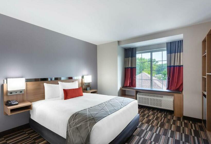 スタンダードルーム, Microtel Inn & Suites By Wyndham Amsterdam