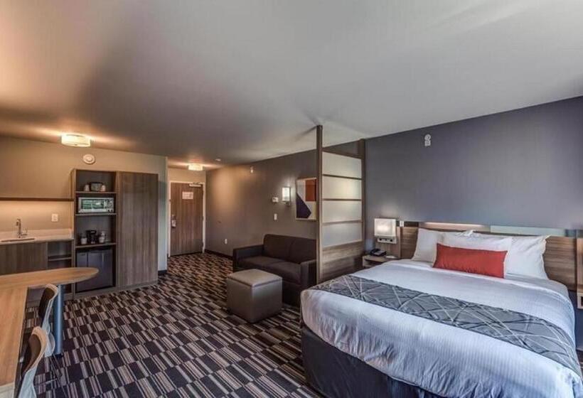 身障者適用スタンダードルーム, Microtel Inn & Suites By Wyndham Amsterdam