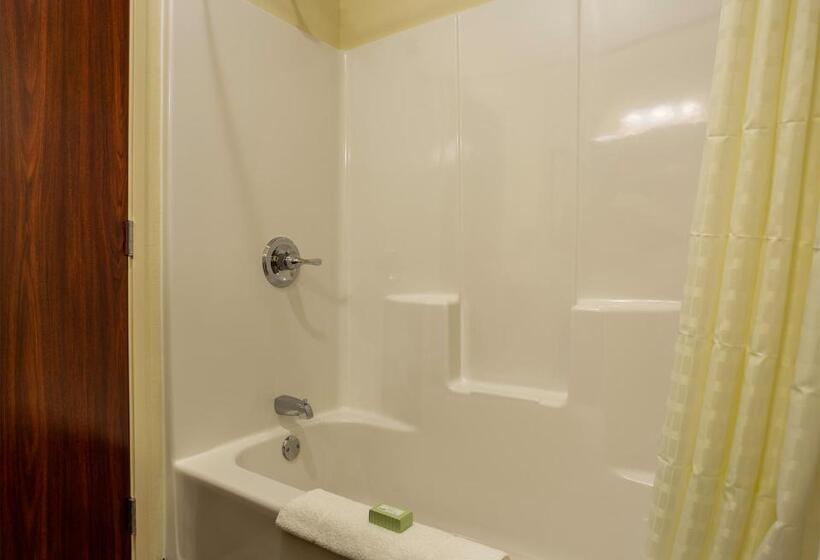 Стандартный Номер Кровать Кинг, Cobblestone Inn & Suites  Brookville