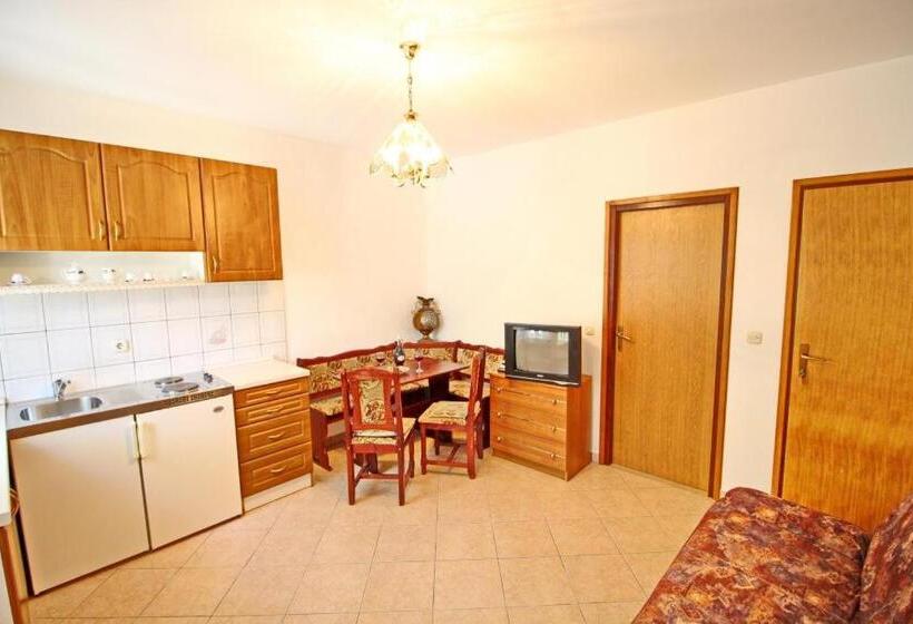 آپارتمان 1 خوابه با چشم‌انداز باغ, Apartments Veselka