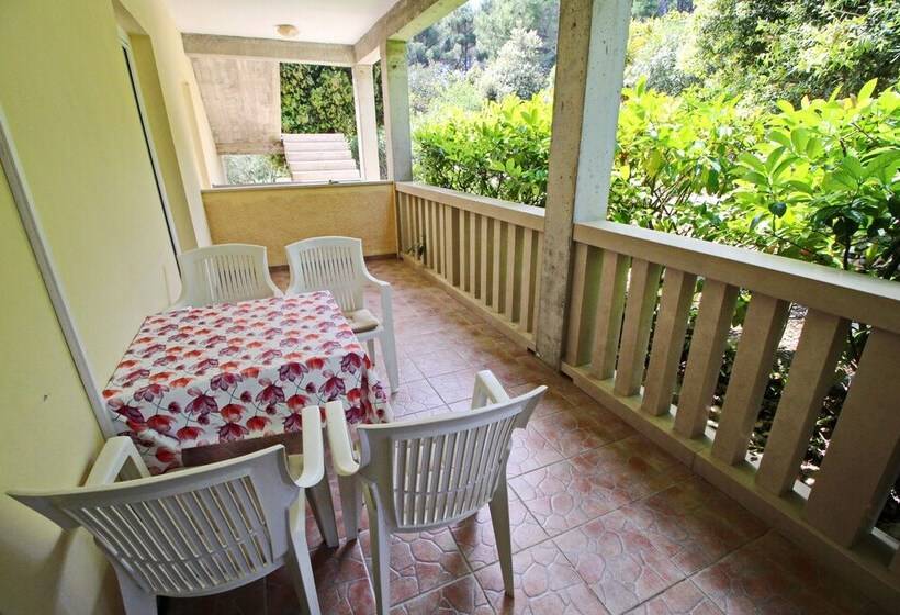 آپارتمان 1 خوابه با چشم‌انداز باغ, Apartments Veselka