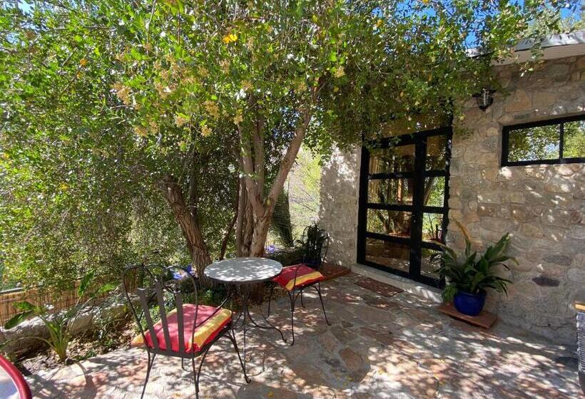 استودیوی لوکس, Cabañas Caballieri