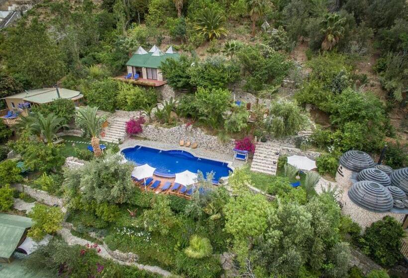 استودیو خانوادگی, Cabañas Caballieri