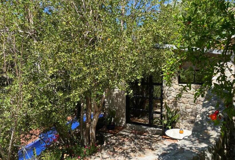 استودیوی لوکس, Cabañas Caballieri