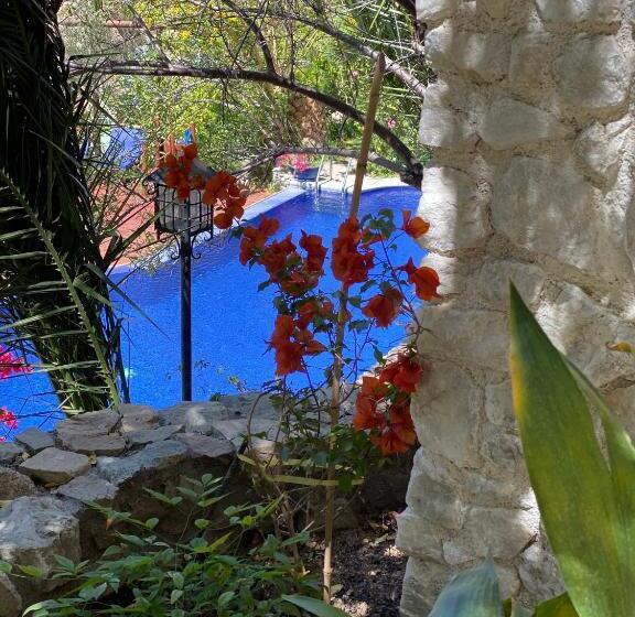 استودیوی لوکس, Cabañas Caballieri
