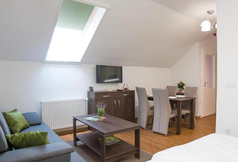 Апартаменты 1 Спальня, Mecset Apartman