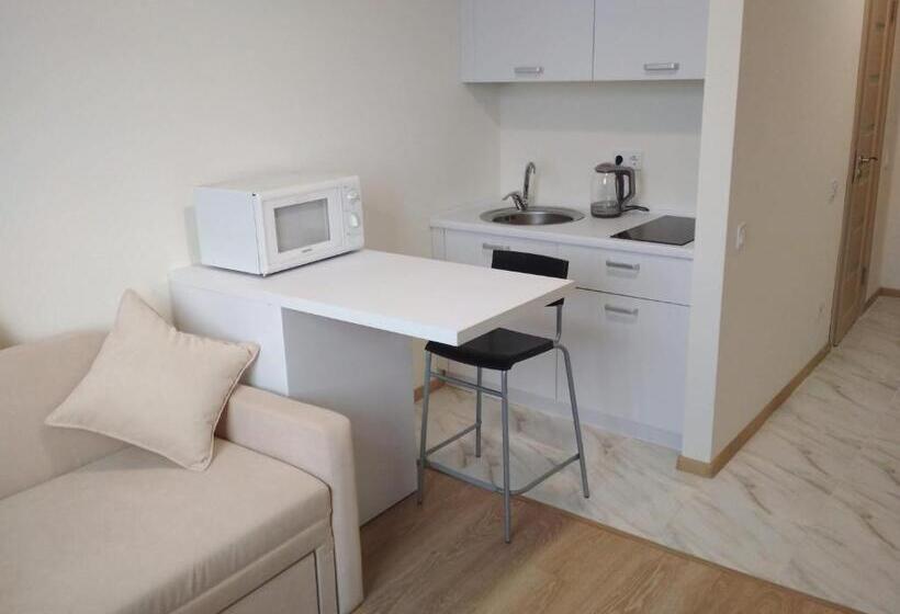 استودیوی استاندارد, Smarthouse Smart Kvartira S Kukhnei Vozle Metro