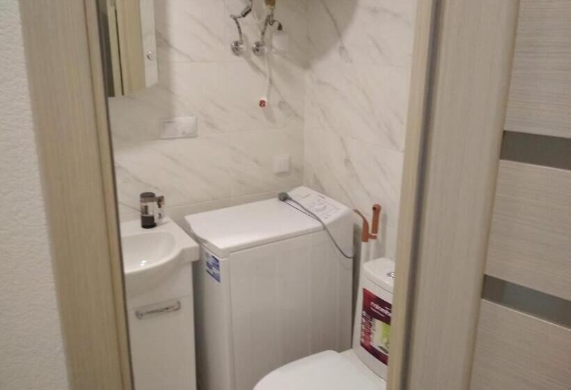 استودیوی استاندارد, Smarthouse Smart Kvartira S Kukhnei Vozle Metro