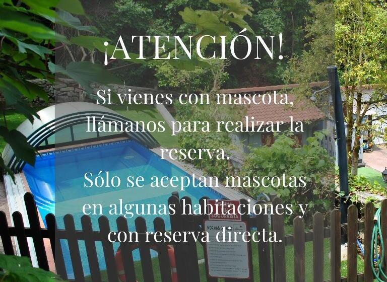 اتاق استاندارد چهار تخته, Hospedaje Javier   Alojateisla