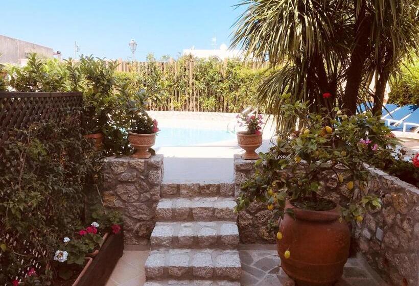 Quarto Deluxe, Capri Bougainville