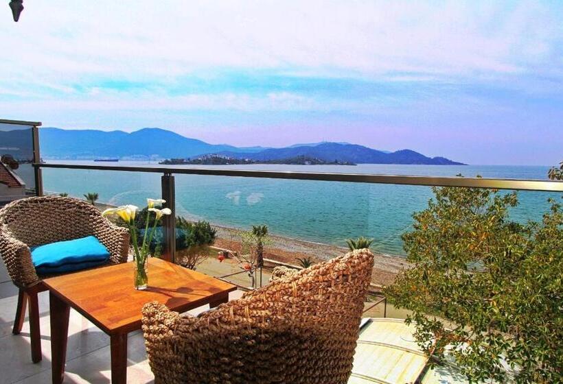 1 Bedroom Penthouse Apartment, George S Boutique