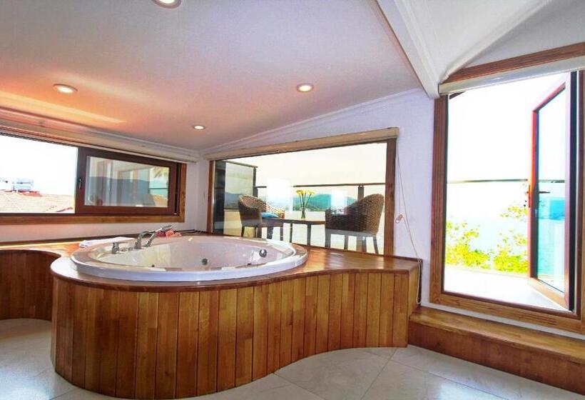 1 Bedroom Penthouse Apartment, George S Boutique