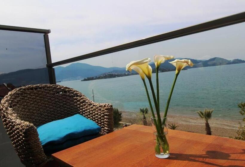 1 Bedroom Penthouse Apartment, George S Boutique
