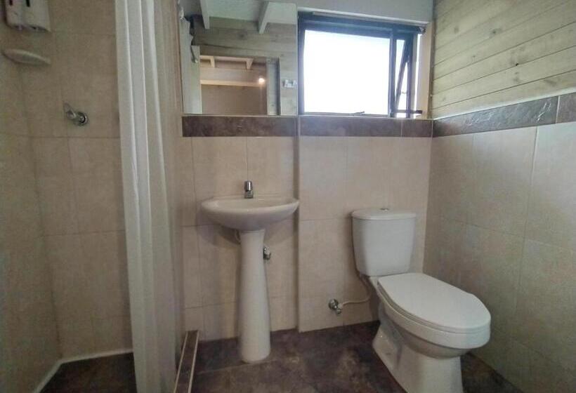 חדר סטנדרט, Cloud9 Hostel