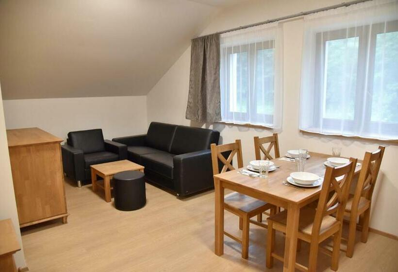 이그제큐티브 스위트, Efi Aparthotel Horní Lipová