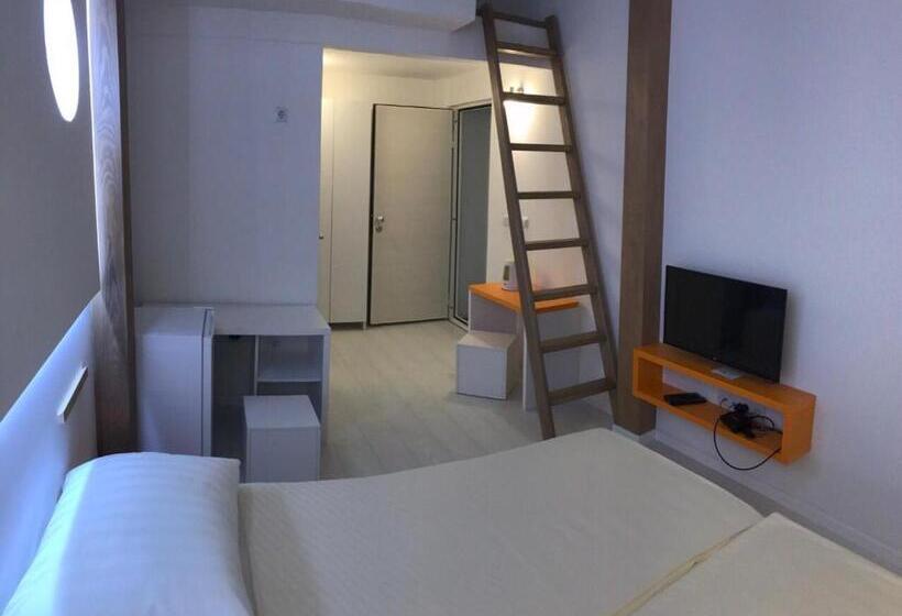 اتاق لوکس, Guesthouse Biser
