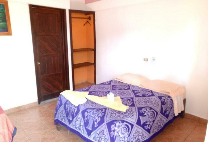 اتاق استاندارد یک نفره, Posada Lolas Lino